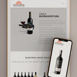 Diseño web WordPress en La Plata